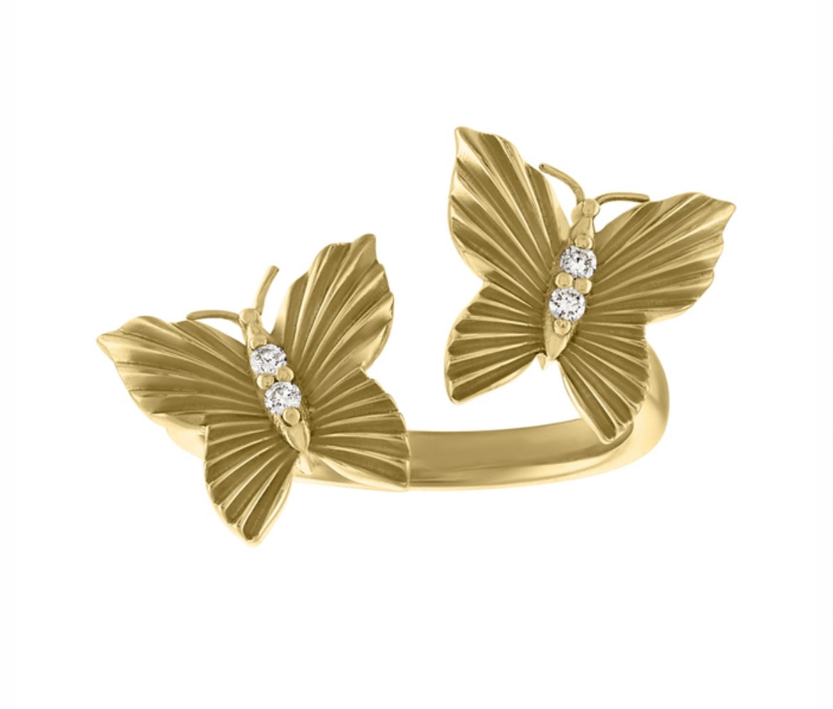 Two stone butterfly